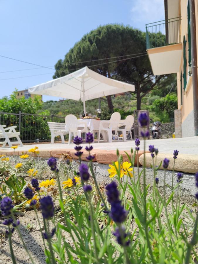 Villa Ca' De Natta Sestri Levante Exterior foto